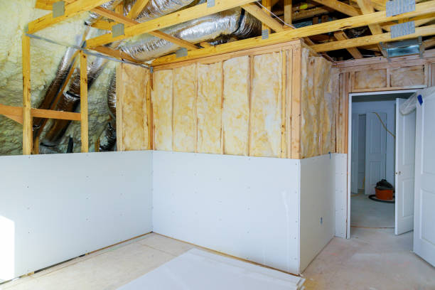 Eco-Friendly or Green Insulation Solutions in Mahtomedi, MN